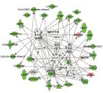 Network of differentially expressed genes associated with immune re- sponses