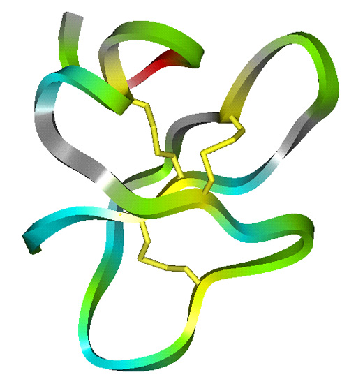 环阳离子抗菌肽的分子结构