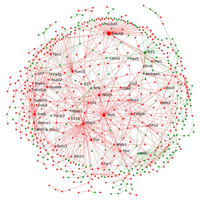 System Biology of Inflammation & Innate Immunity - Hancock Lab